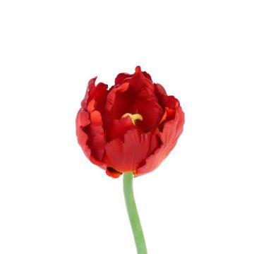 Tulipe perroquet artificielle LAARA, rouge-orange, 25cm, Ø7cm