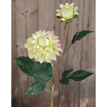 Dahlia en tissu PATRITZIA, vert-rose, 55cm