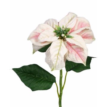 Poinsettia en soie MARRIT, blanc-rose, 70cm, Ø20cm