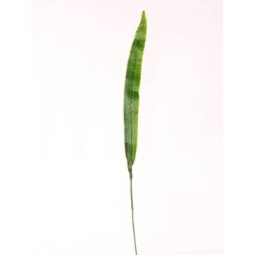 Feuille de glaïeul artificiel JUNO, vert, 40cm