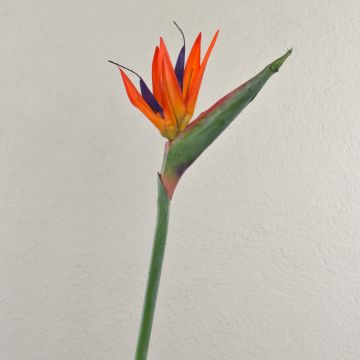 Strelitzia artificiel MELIORN, orange-violet, 85cm