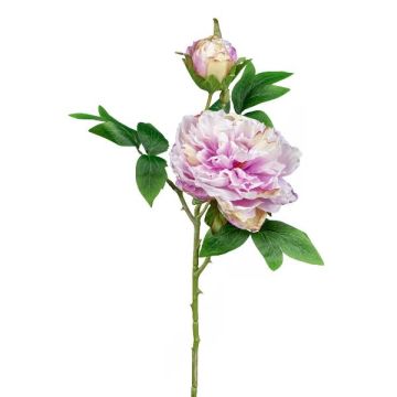 Fleur artificielle Pivoine FRILT, rose fuchsia, 55cm