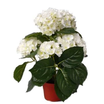 Faux Hortensia TEMARI, crème, 40cm, Ø30cm, Ø10-12cm