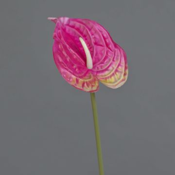 Fleur artificielle Anthurium XYLON, fuchsia, 50cm