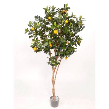 Mandarinier artificiel MITRA, vrais troncs, fruits, vert, 180cm