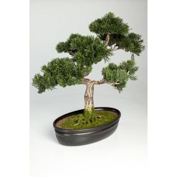Faux bonsaï cèdre JARNO, avec racines, coupe déco, vert, 40cm