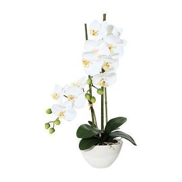 Orchidée Phalaenopsis en tissu DINKA dans une coupe en céramique, racines, blanc, 50cm