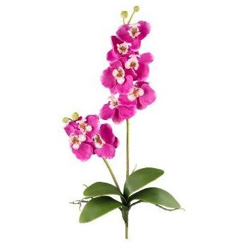 Orchidée Phalaenopsis en tissu MORLEK, piquet, racines, rose fuchsia, 60cm