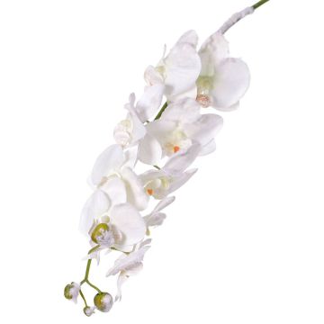 Tige d’orchidée Phalaenopsis en soie NALANI, enneigé, blanc, 80cm, Ø8-10cm