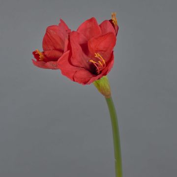 Fleur décorative Amaryllis BELAV, rouge, 70cm