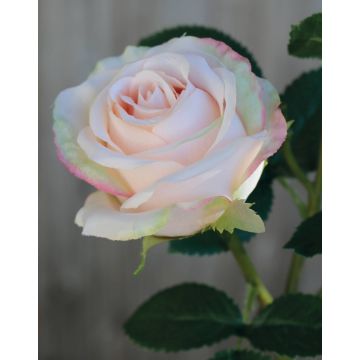 Rose en tissu DELILAH, rose clair, 55cm, Ø6cm