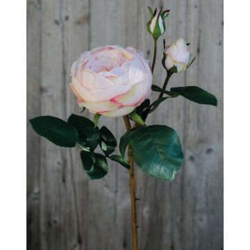 Rose-Chou artificielle MIRETTA, rose-vert, 60cm, Ø3-9cm