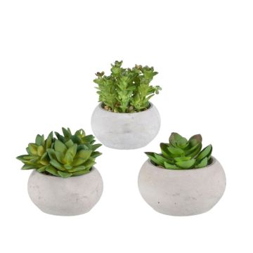 Arrangement artificiel de plantes succulentes ZIFER dans un pot en ciment, 3 pièces, vert, 8-10cm Arrangement artificiel de plantes succulentes ZIFER dans un pot en ciment, 3 pièces, vert, 8-10cm