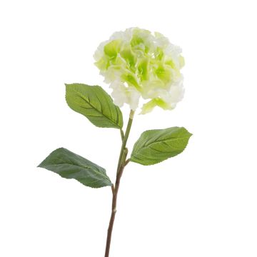 Hortensia en plastique CHANTAL, vert, 75cm, Ø18cm