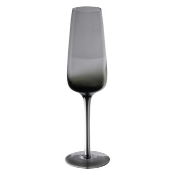 Flûte à champagne LUCIEL, gris-transparent, 23cm, Ø7cm