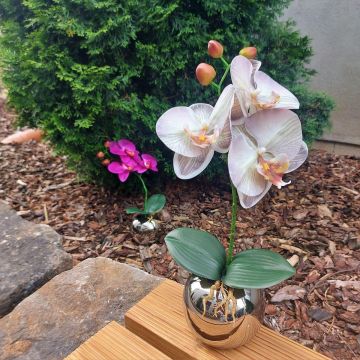 Fleur artificielle Orchidée Phalaenopsis NAPIRAI, cache-pot, blanc-lilas, 30cm