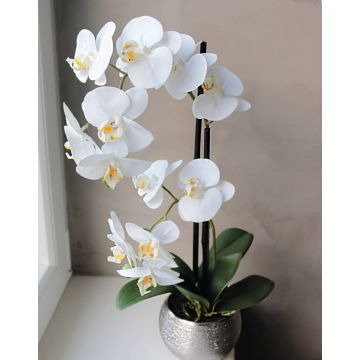Orchidée artificielle Phalaenopsis EMILIA, pot décoratif, blanc, 50cm