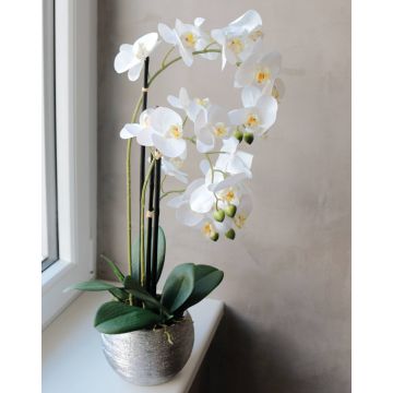 Orchidée artificielle Phalaenopsis EMILIA, pot décoratif, blanc, 65cm