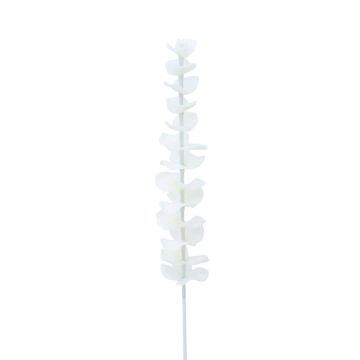 Branche d'eucalyptus en plastique GLAUCO, aspect verre, 12 pièces, blanc, 80cm