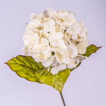 Hortensia en soie MONA, crème, 70cm, Ø16cm