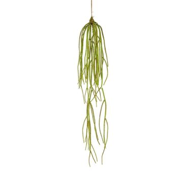 Plante artificielle Suspension de lycopodium WILKE, vert, 90 cm