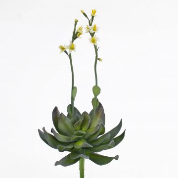 Aeonium en plastique CHARLIZE avec fleurs, piquet, jaune, 30cm
