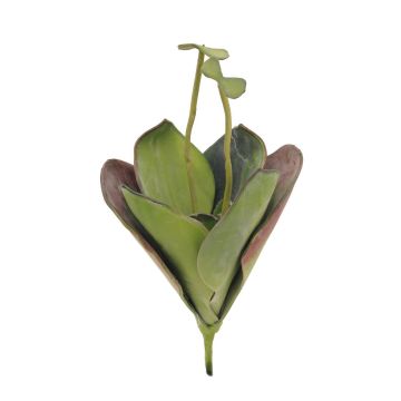 Plante de nénuphar en plastique ADELMO sur piquet, outdoor, vert, 45cm