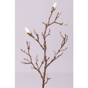 Branche de magnolia artificielle ASANI, blanc, 70cm