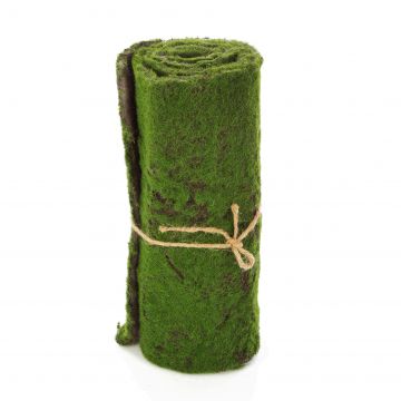Rouleau / Tapis de mousse artificiel CUNO, vert-marron, 97x29cm