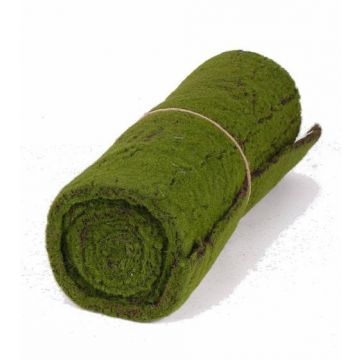 Rouleau / Tapis de mousse artificiel CUNO, vert-marron, 205x50cm
