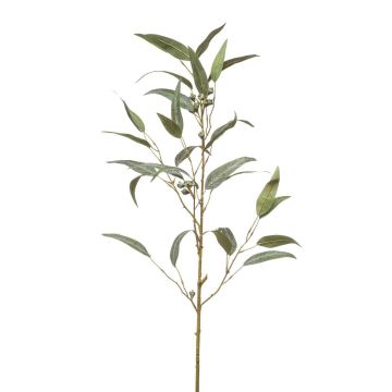 Branche d'eucalyptus en tissu JURKA avec des fruits, vert-gris, 90cm