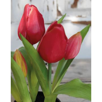 Tulipe en tissu CAITLYN en pot décoratif, rose fuchsia-vert, 25cm, Ø2-6cm