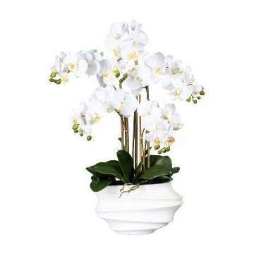 Orchidée Phalaenopsis artificielle ZALBROK, vase décoratif blanc, racines, blanc, 75cm Orchidée Phalaenopsis artificielle ZALBROK, vase décoratif blanc, racines, blanc, 75cm