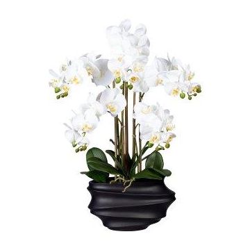 Orchidée Phalaenopsis artificielle ZALBROK, vase décoratif noir, racines, blanc, 75cm Orchidée Phalaenopsis artificielle ZALBROK, vase décoratif noir, racines, blanc, 75cm