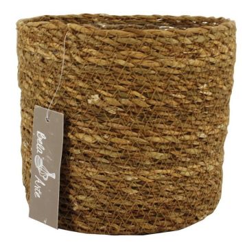Corbeille à fleurs AMPARO, zostère, beige, 12,5cm, Ø14cm