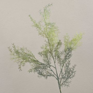 Asparagus sprengeri artificiel RUNAL, vert, 80cm