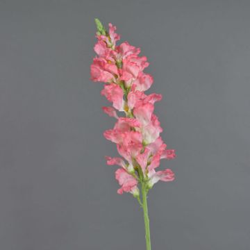 Fleur artificielle Gueule-de-loup FOLET, rose, 100cm