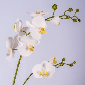 Tige d’orchidée Phalaenopsis en tissu LAHNA, blanc, 95cm, Ø5-10cm