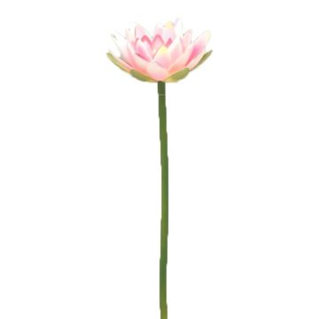 Fleur artificielle Nénuphar LIAN, rose, 60cm