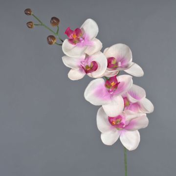 Tige artificielle d'orchidée Phalaenopsis LANUA, crème-rose, 75cm
