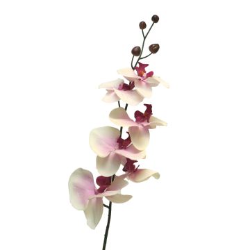Tige artificielle d'orchidée Phalaenopsis LANUA, crème-rose, 75cm