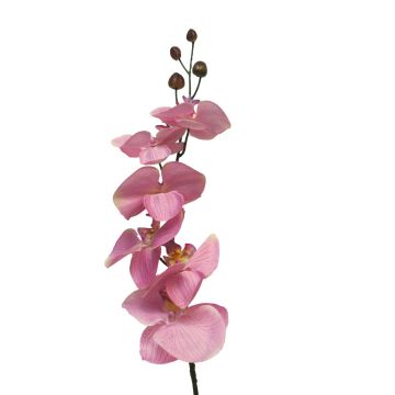 Tige artificielle d'orchidée Phalaenopsis LANUA, rose, 75cm