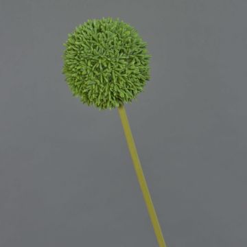 Fleur artificielle Allium BAILIN, vert, 65cm