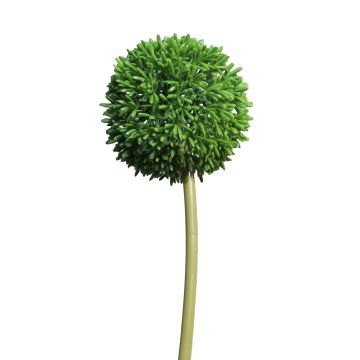 Fleur artificielle Allium BAILIN, vert, 65cm