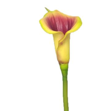 Fleur artificielle Calla SHUNYA, jaune-violet, 65cm