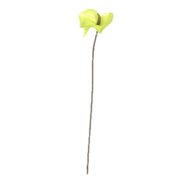 Fleur artificielle Anthurium FEIWU, vert clair, 65cm