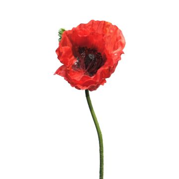 Fleur artificielle coquelicot ANKANG, rouge, 70cm