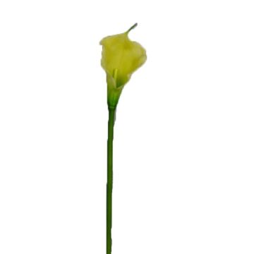 Fleur artificielle Zantedeschia DOU, jaune-vert, 70cm