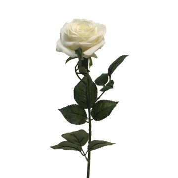 Rose artificielle KAILIN, crème, 65cm