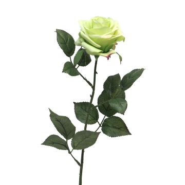 Rose artificielle KAILIN, vert clair, 65cm